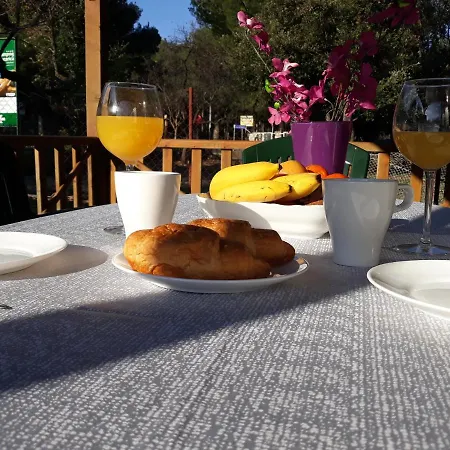 Jadranka Daire Pakoštane