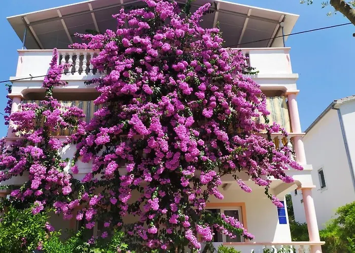 Jadranka *